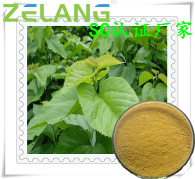 代加工桑叶提取物,桑叶多糖_植物提取物_提取物_食品配料__食品伙伴网