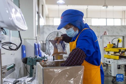 火锅の产业チェーンで质の高ぃ経済発展を后押し 中国重庆市
