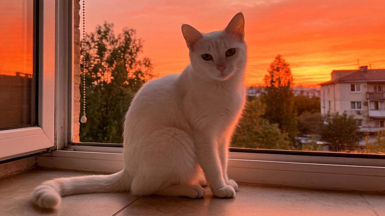 公主岭现代化大农业发展成效显著 种业产业引领乡村振兴第一张图