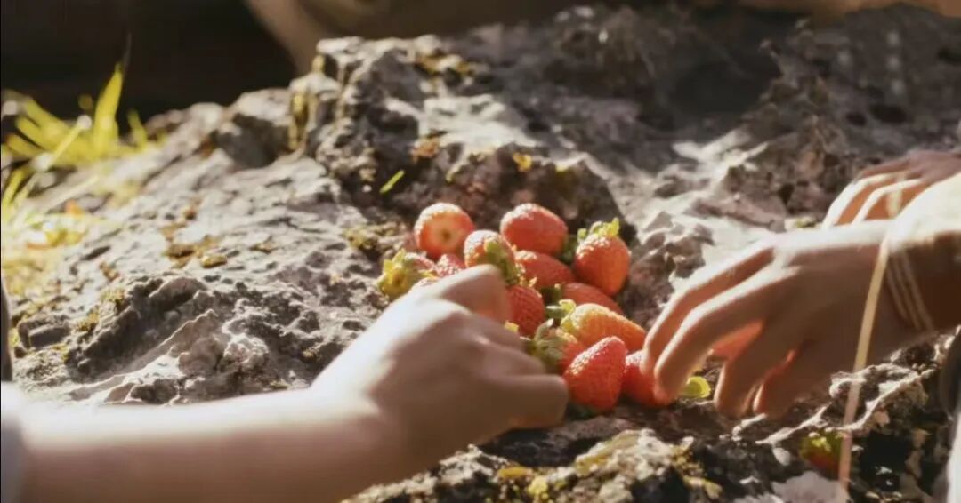 今年最火的水果界“爱马仕”，何以成为中产鄙视链顶流？(图2)