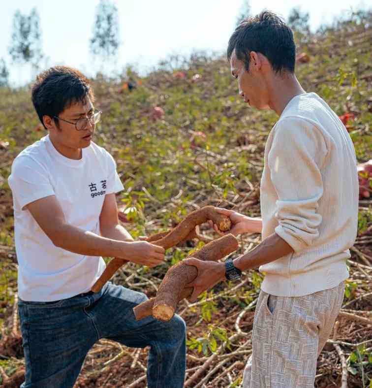 木薯奶茶热潮:口感与创新的双赢(图8) 木薯奶茶热潮:口感与创新的双赢(图8)