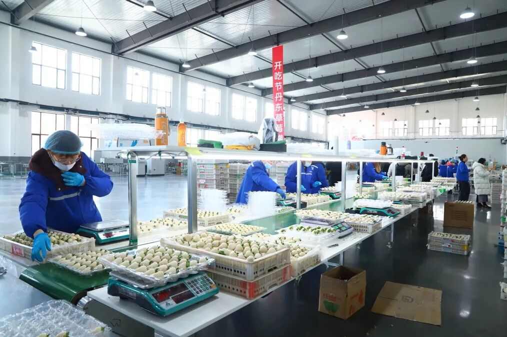 300元一斤，“水果界爱马仕”换人了(图6)