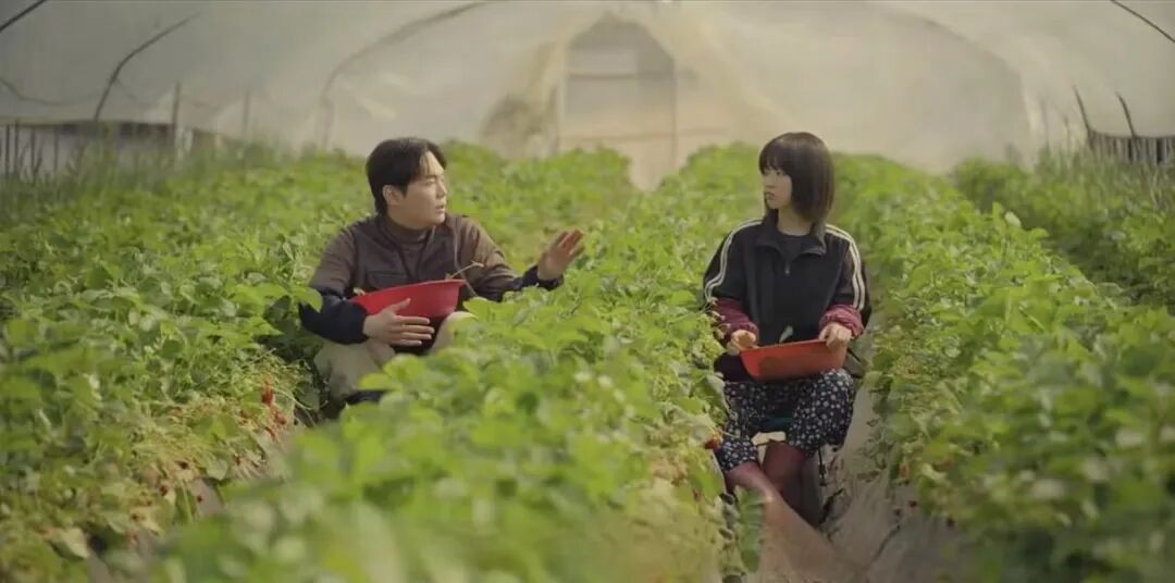 今年最火的水果界“爱马仕”，何以成为中产鄙视链顶流？(图9)