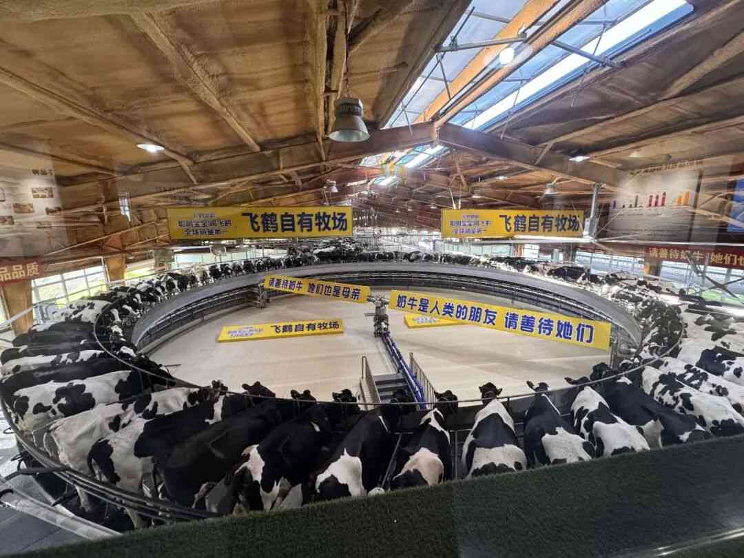 飞鹤后脑勺上长了眼?(图6) 飞鹤后脑勺上长了眼?(图6)