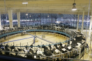 君乐宝要去港股讲一个新故事(图3)