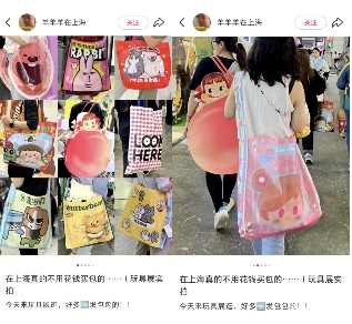 年轻人展会新潮流：免费试吃与赠品攻略(图12)