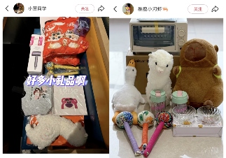 年轻人展会新潮流：免费试吃与赠品攻略(图22)