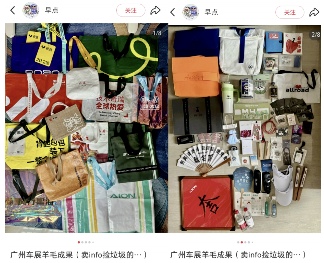 年轻人展会新潮流：免费试吃与赠品攻略(图24)