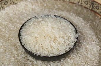 为什么中国人一听到“糯叽叽”，就走不动道？(图14)