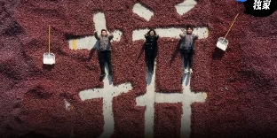 当零食品牌们集体重估拼多多(图1)