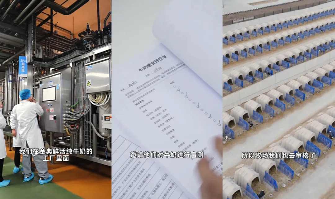 主动送检、公开盲测！金典纯牛奶凭什么敢自证“鲜活”？(图7)