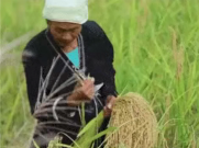 为什么中国人一听到“糯叽叽”，就走不动道？(图5)