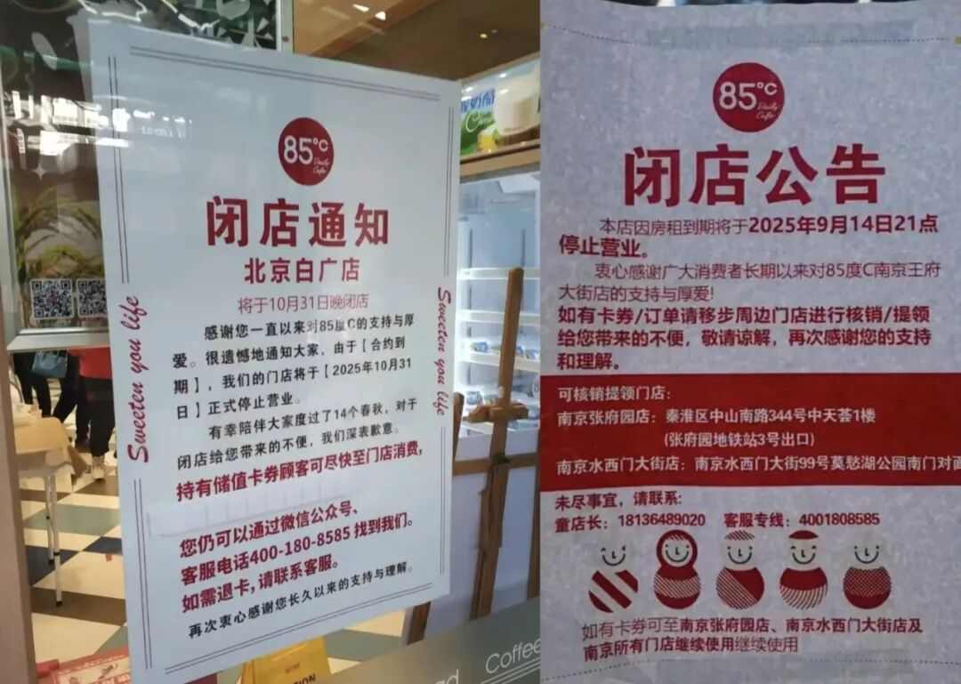 35元一个的“沪币”面包，在四线小城杀疯了(图13)