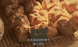 35元一个的“沪币”面包，在四线小城杀疯了(图16)