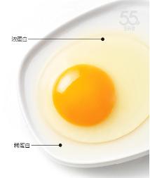 沈师傅55g营养蛋，新鲜才会更营养！(图3)
