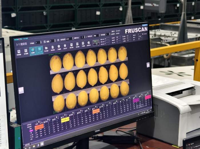 甜了日子，兴了产业！蜜雪柠檬果链起富民路(图3)