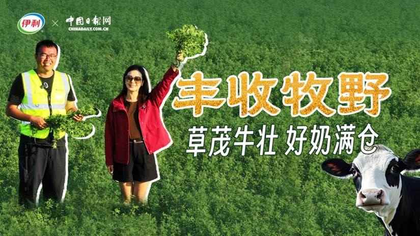 30064030afa7c0cd6cc1e27c0d9d7c8