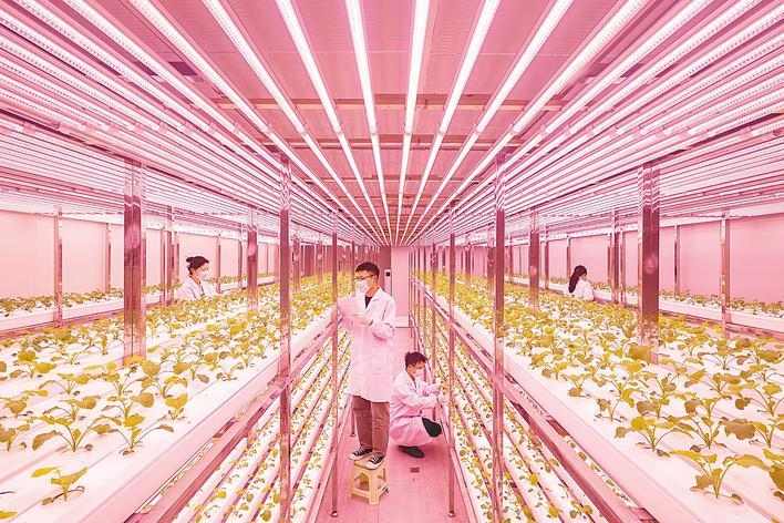 智耕沃野 新时代鱼米之乡迈向农业强省(图1)