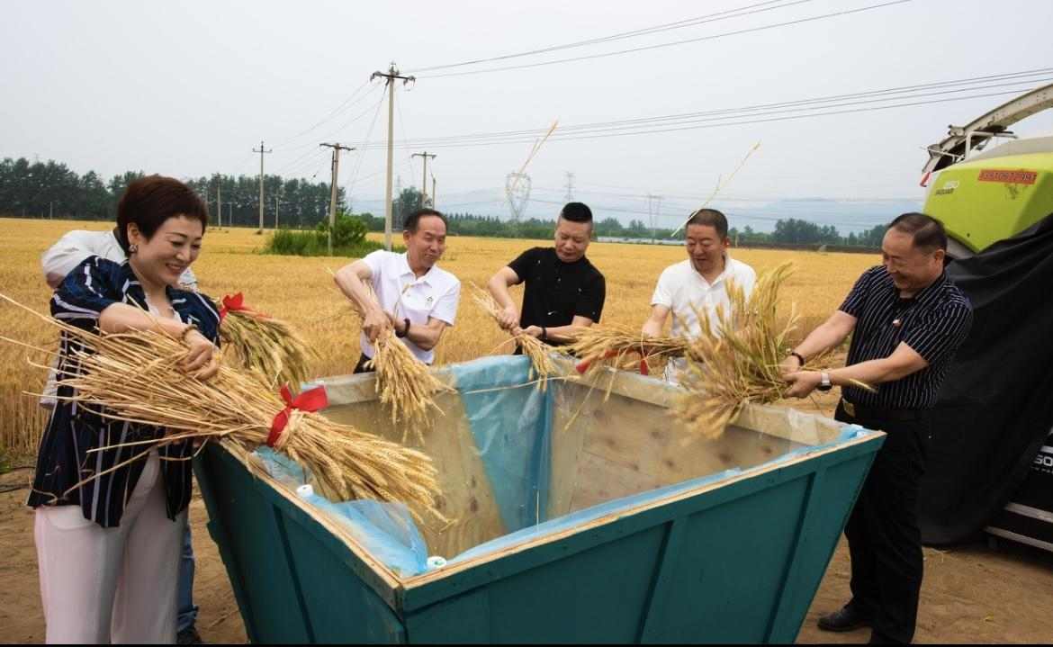 掼蛋艺术与农耕文化融合 大地之境丰收节展现跨界创新魅力(图1) 微信图片_20240606150929