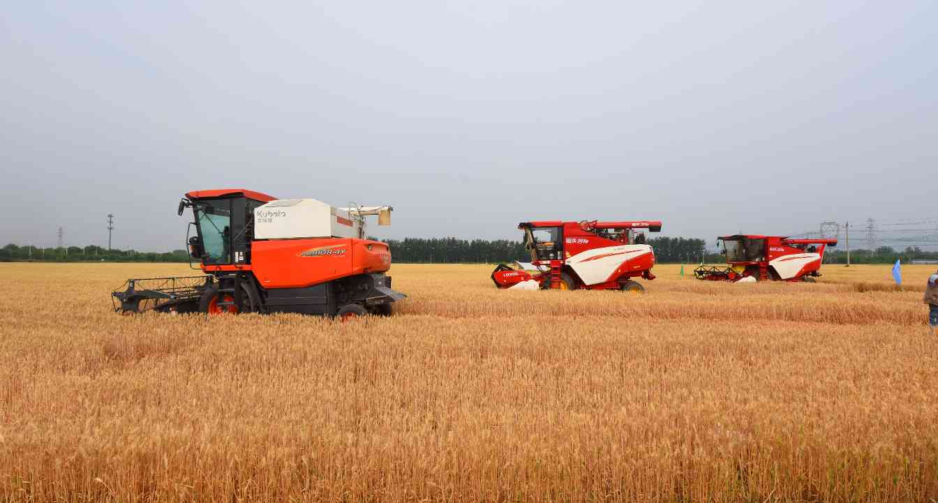 掼蛋艺术与农耕文化融合 大地之境丰收节展现跨界创新魅力(图2) 微信图片_20240606091126