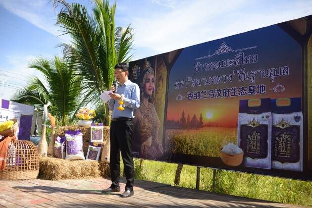 泰国乌汶府新米节盛大开幕，香纳兰泰国茉莉香米品质获官方认可(图6)