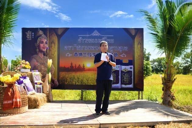 泰国乌汶府新米节盛大开幕，香纳兰泰国茉莉香米品质获官方认可(图5)