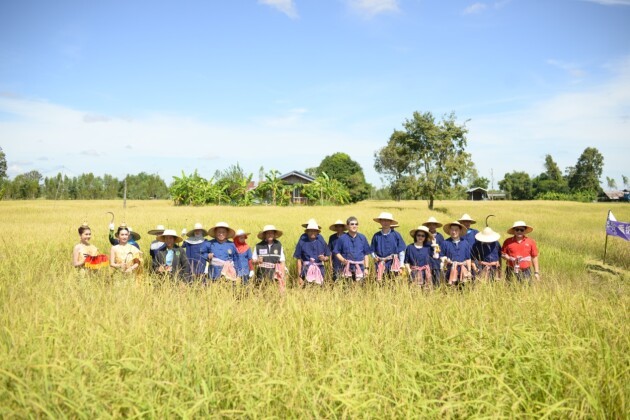 泰国乌汶府新米节盛大开幕，香纳兰泰国茉莉香米品质获官方认可(图3)