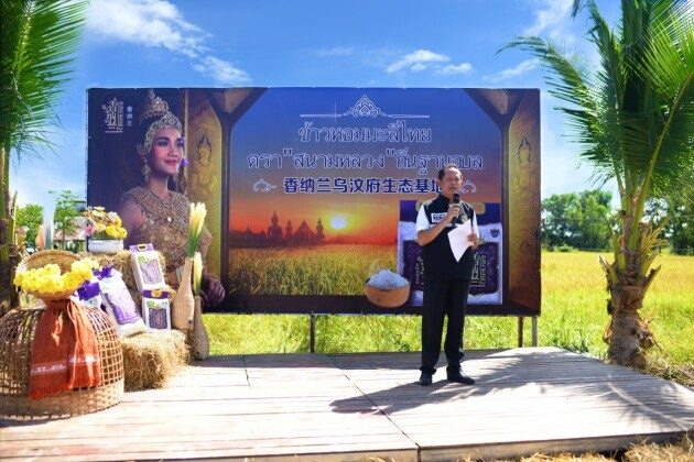 泰国乌汶府新米节盛大开幕，香纳兰泰国茉莉香米品质获官方认可(图7)