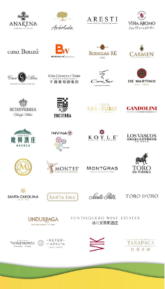 智利葡萄酒2023巡展盛大开启，星空美酒闪耀中华(图7)