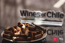 智利葡萄酒2023巡展盛大开启，星空美酒闪耀中华(图2)