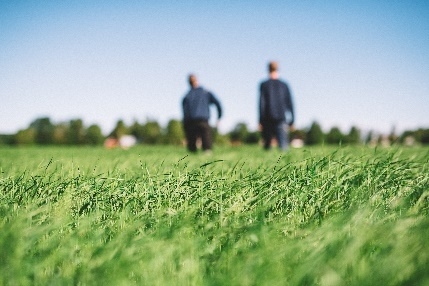 无抗生素猪肉成健康新选择，芬兰品牌Atria引领品质革命(图1)