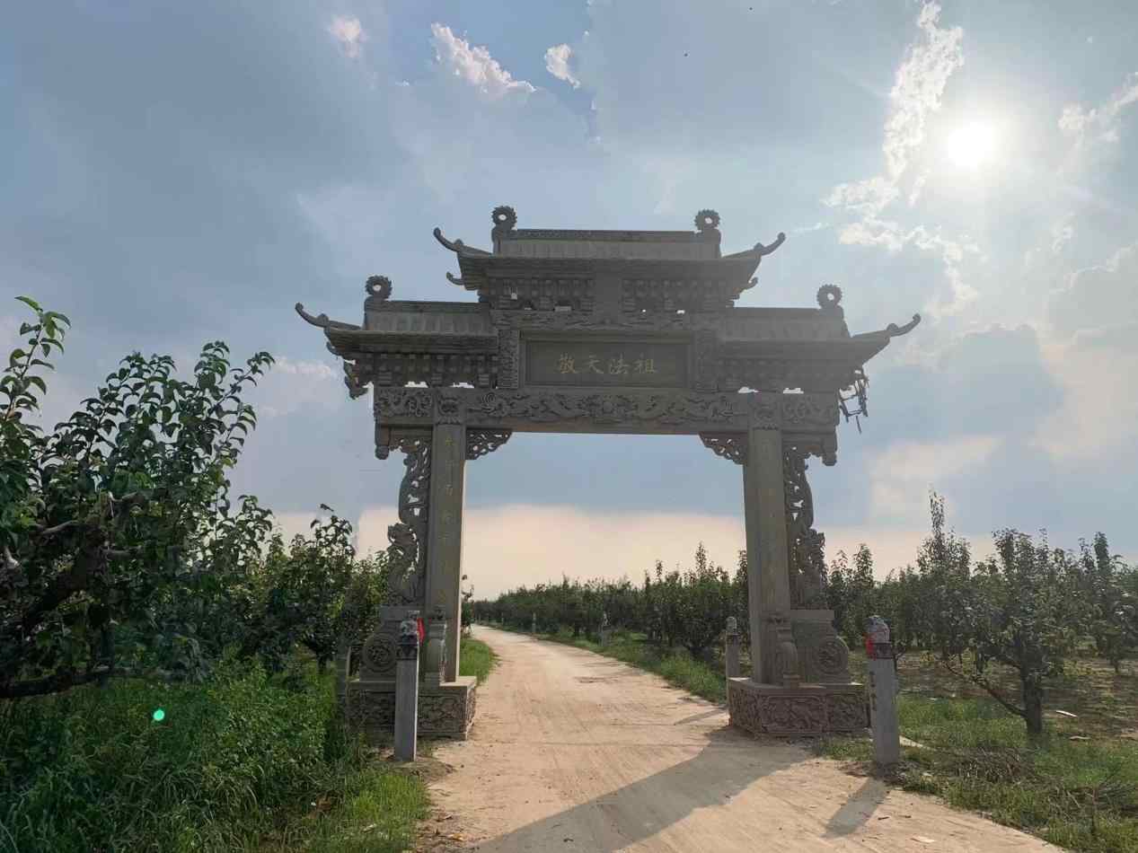 砀山梨的千年传奇：从春秋孔子到现代药用价值全解析(图1)