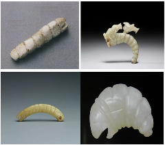 中华龙树改良桑产业助力环境保护与经济发展(图5)