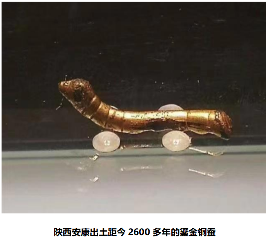 中华龙树改良桑产业助力环境保护与经济发展(图4)