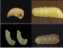 中华龙树改良桑产业助力环境保护与经济发展(图6)