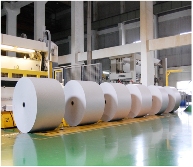 中华龙树改良桑产业助力环境保护与经济发展(图22)