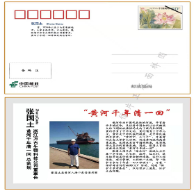 中华龙树改良桑产业助力环境保护与经济发展(图23)