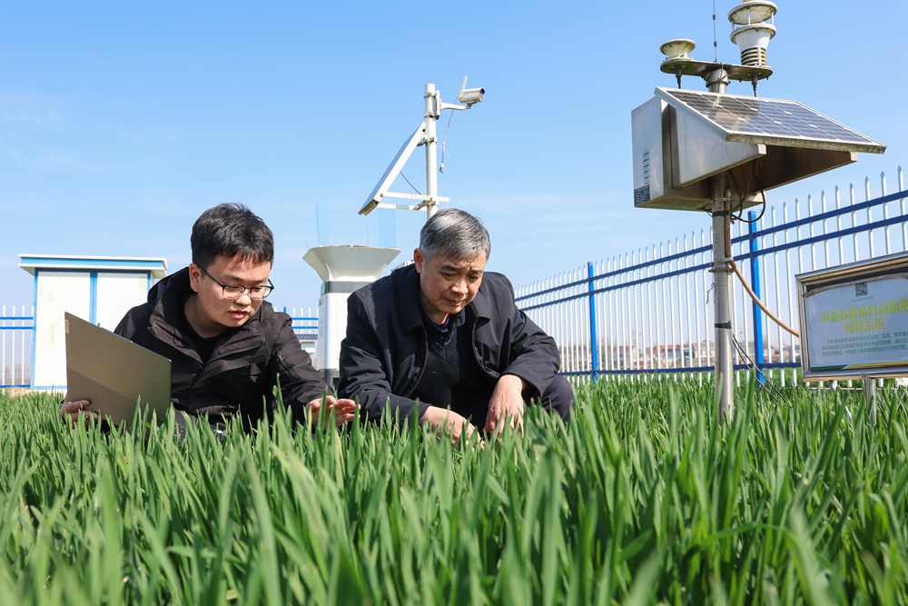 “鱼米之乡”万象新