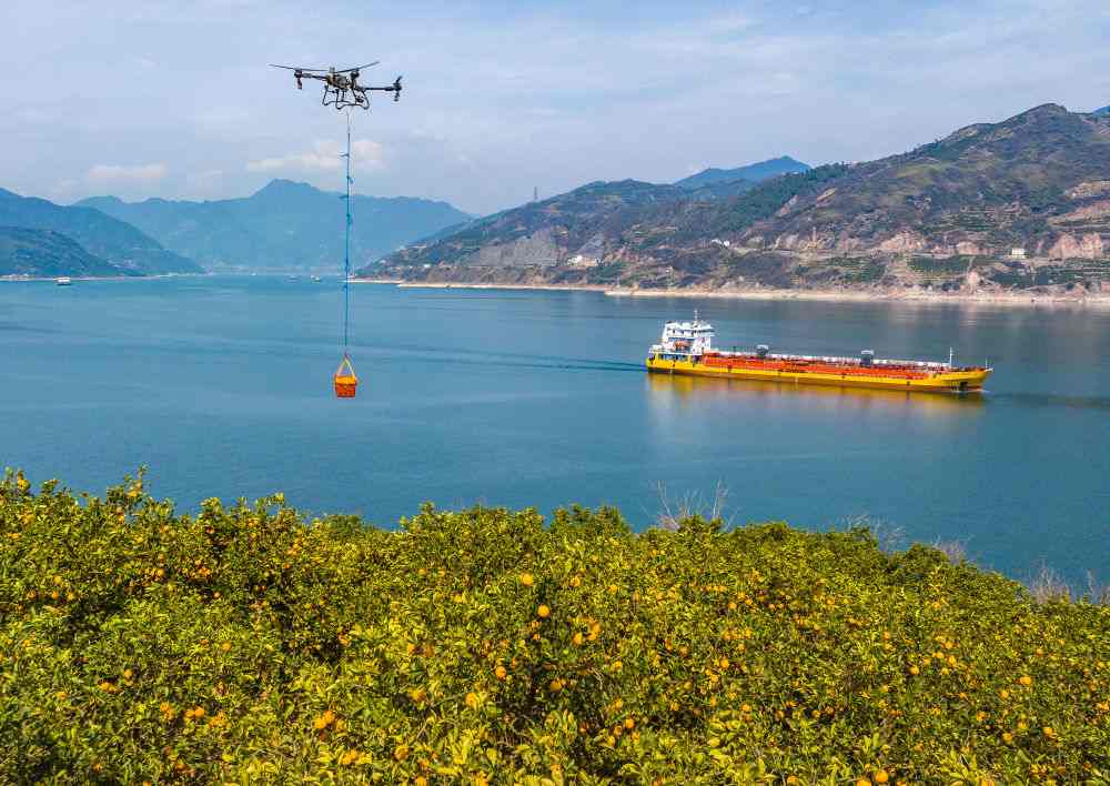 “鱼米之乡”万象新