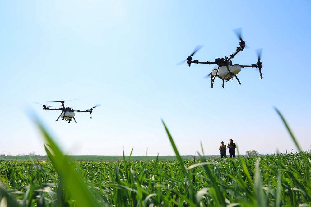 “鱼米之乡”万象新