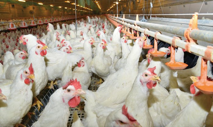 制造业转型升级新路径：产业链延伸与数字化变革实践(图1)