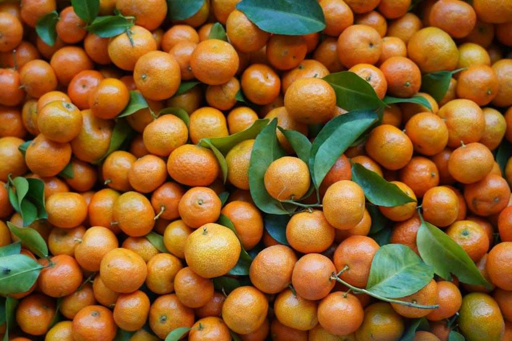 沙糖桔名字由来及挑选技巧，教你如何选购优质沙糖桔(图1)