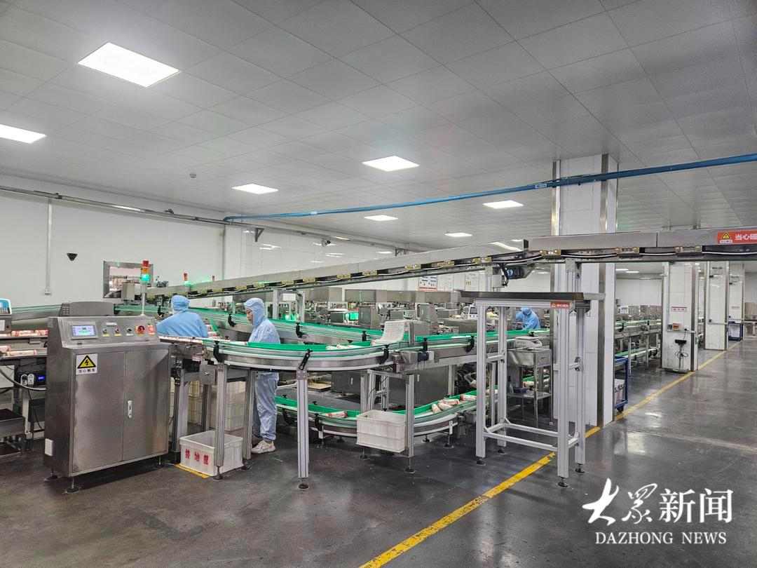 大安镇：党建铸魂强产业，联企带农绘共富