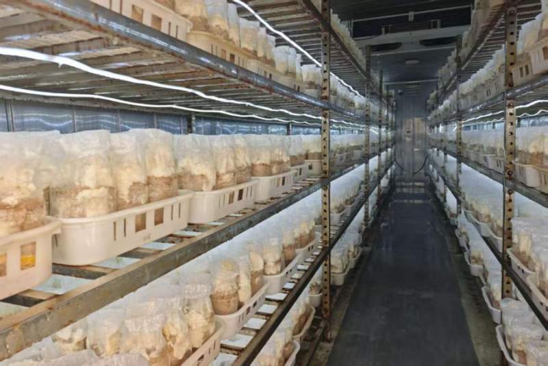 河北特色产业集群创新发展助推县域经济高质量崛起(图6) 河北特色产业集群创新发展助推县域经济高质量崛起(图6)