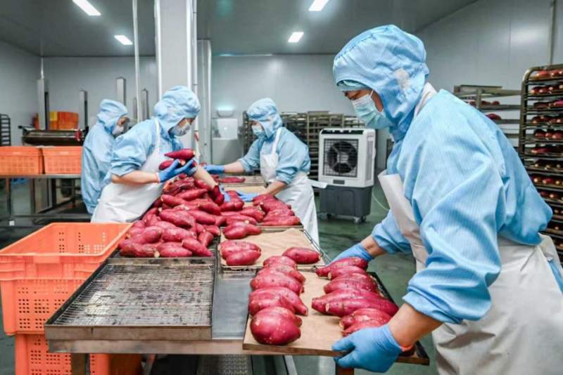 河北特色产业集群创新发展助推县域经济高质量崛起(图5) 河北特色产业集群创新发展助推县域经济高质量崛起(图5)