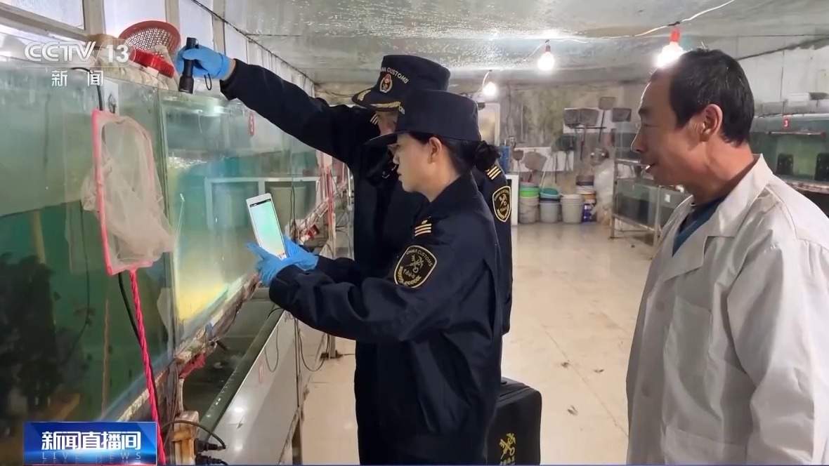 年货“涌进来”,中国味“走出去” 解锁春节消费的双向活力 年货“涌进来”,中国味“走出去” 解锁春节消费的双向活力