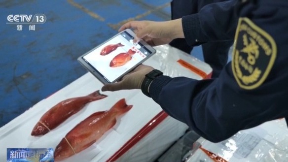 年货“涌进来”,中国味“走出去” 解锁春节消费的双向活力 春节年货进出口两旺 海关绿色通道保障供应(图2)