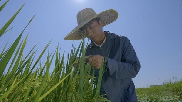 高校师生扎根田野 科技助力乡村振兴(图4)
