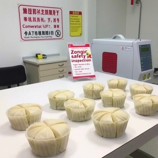 邹城市市场监管局开展粽子专项抽检(图1) 邹城市市场监管局开展粽子专项抽检(图1)