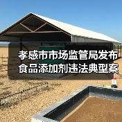 孝感市市场监管局发布食品添加剂违法典型案例(第一期)(图2) 孝感市市场监管局发布食品添加剂违法典型案例(第一期)(图2)